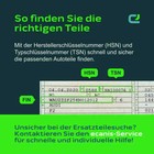 Bild 7 von 7