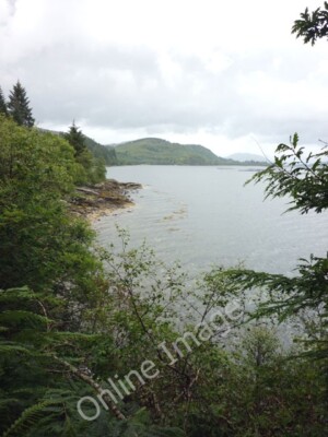 Foto 6x4 Das Ufer des Loch Fyne Lephinchapel von der gelben Route aus gesehen c2010