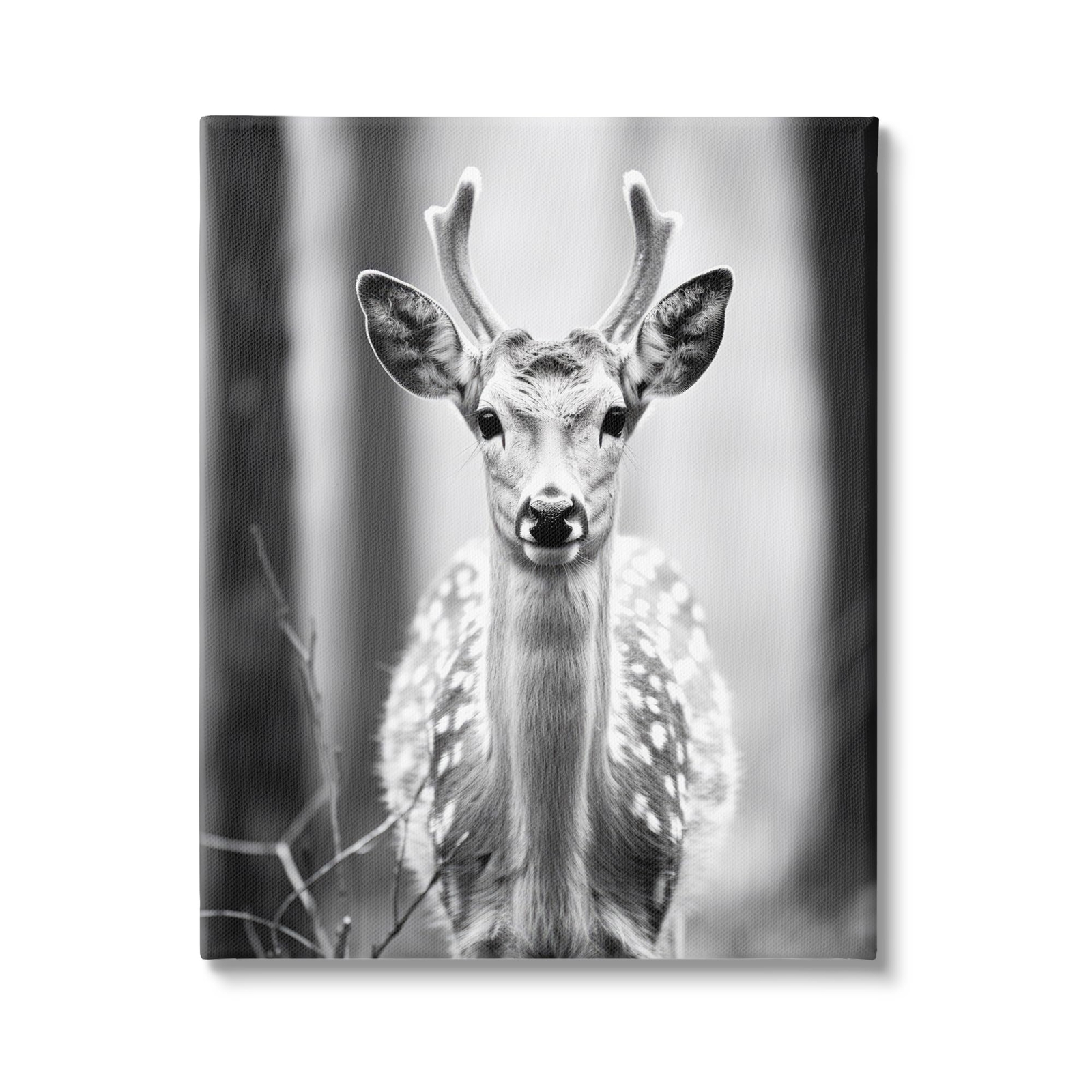 Baby Fawn Photography Canvas Wall Art by Ray Powers
