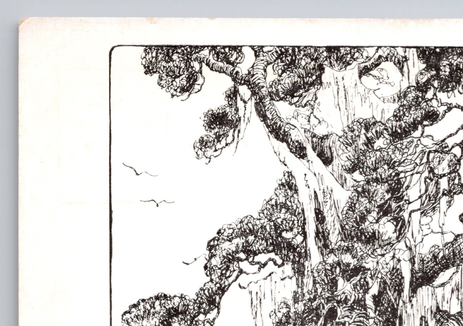 Picture 8 of 14