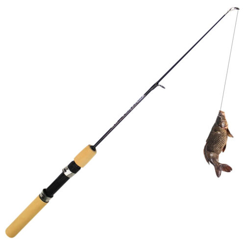 60/80/100cm Fishing Rod Pole Portable Winter Fishing Rods Carp Fishing Equipment