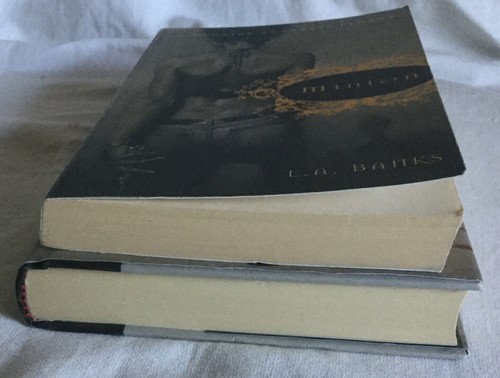 2 Books: Minion, A Vampire Huntress Legend & Abraham Lincoln, Vampire Hunter - Bild 6 von 7