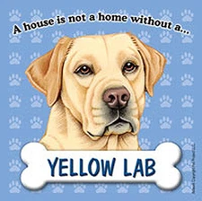 Yellow Lab Magnet - House Is Not A Home