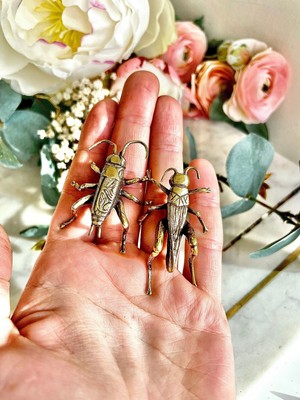 Fine lifelike Solid brass buzzing grasshopper figurine, Cricket Miniature, inse