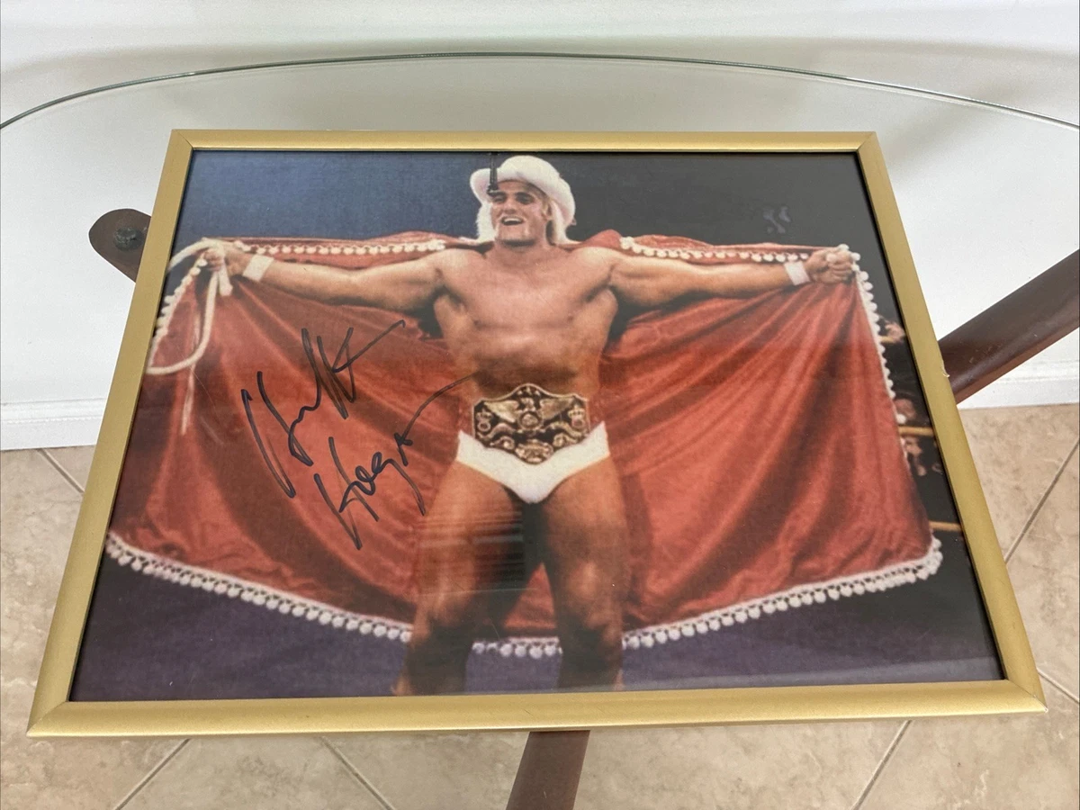 Las mejores ofertas en Hulk Hogan WWE Wrestling artículos con