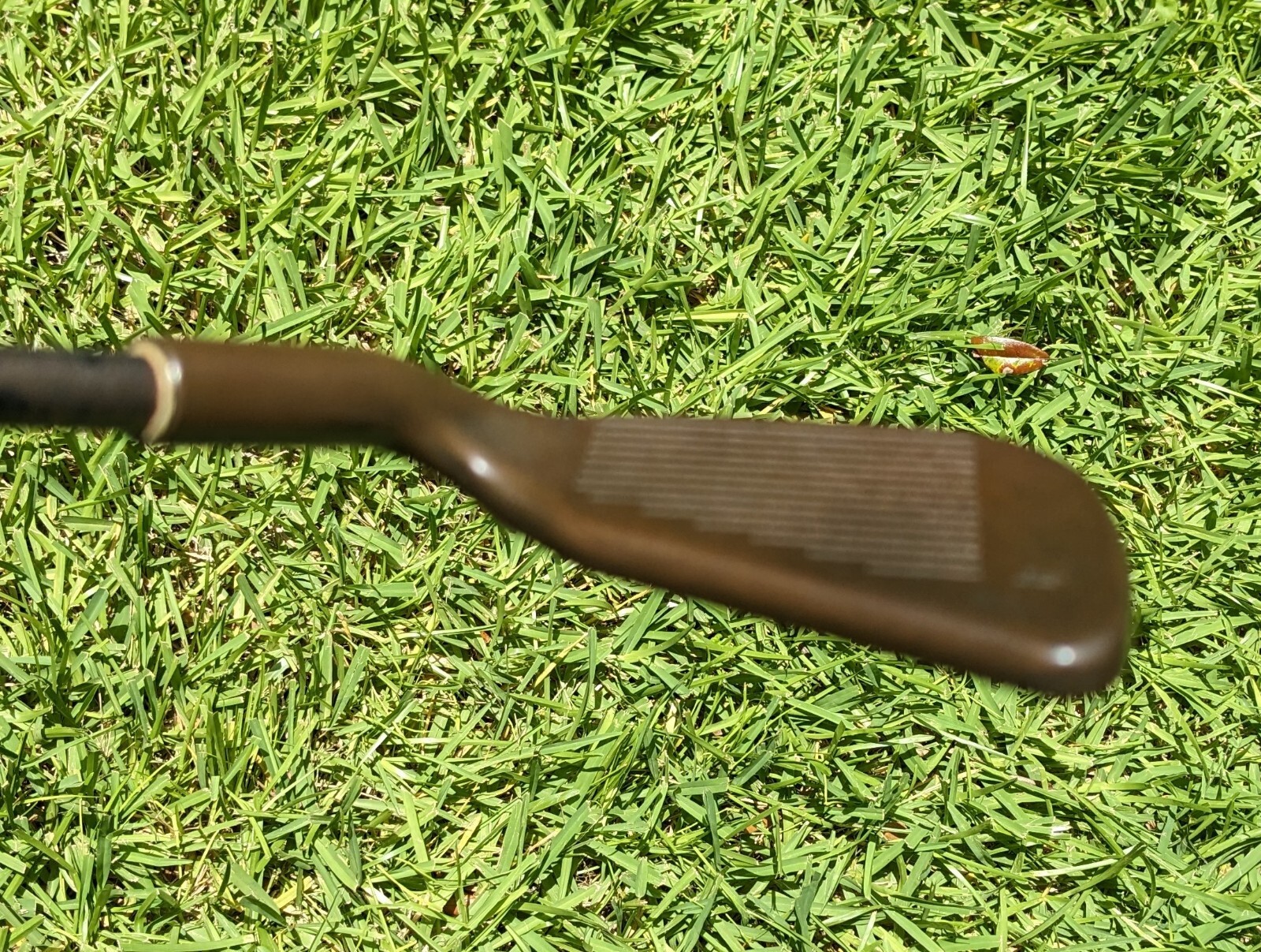 Picture 4 of 11