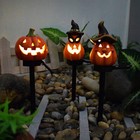 Picture 2 of 14