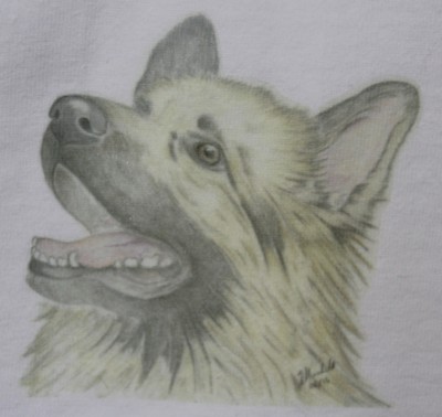 Adult or Children's T-Shirt or Sweatshirt - 6 different German Shepherd Designs 