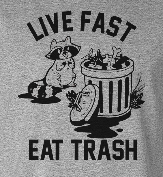Funny trendy Racoon Live Fast Eat Trash Tanuki cute stuffed animal tee t-shirt 