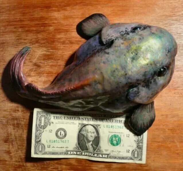 Blob Fish Reproduction Fish Taxidermy.