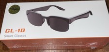 GL 10 Smart Glasses AI Translation