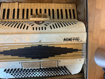 Acmette Piano Accordion 41 Key 120 Bass 2 Register White/Black