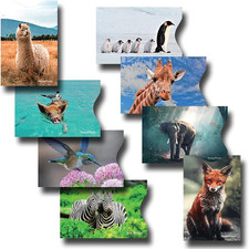 8 RFID Blocking Sleeves, Credit Card Protector, Anti-Theft Credit Card Holder