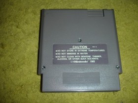 Astyanax ( NES, 1990) With Sleeve in a clear platic case