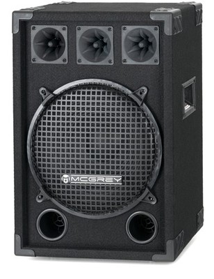 Super Party/DJ-Box 2-Wege-Box mit 12  Subwoofer 300W RMS robustes Holzgehäuse