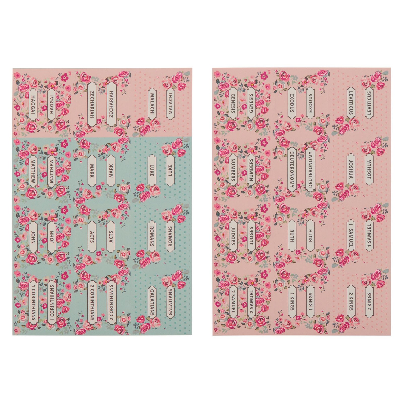 Pink and Blue Old and New Testament Bible Ind...