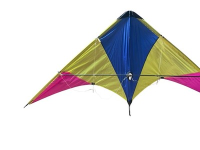 VTG Two Line Cheetah By Wind Toys Stunt Kite 67  X 31  T 45  Diag. - Incomplete