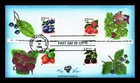 US COVER FRUIT BERRIES FIRST DAY ISSUE COMBO PUGH HAND PAINTED
