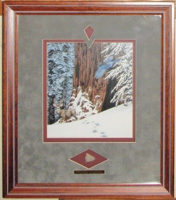 Bev DooLittle BROKEN SILENCE Matted Framed Art ARROWHEAD Print Rustic DEER CABIN