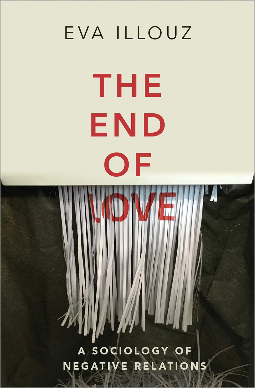 The End of Love: A Sociology of Negative Relations - Image 7