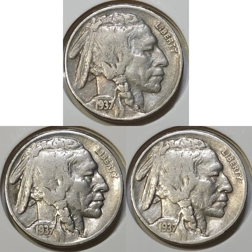 Lot of (3) Buffalo Nickels: 1937-P/D/S - XF, VF, VF **Final Year Set/2 Semi-🔑**