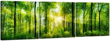 Forest Wall Art Decor - Large Canvas Art 24x72 - 3 Panel Green Nature Print -...