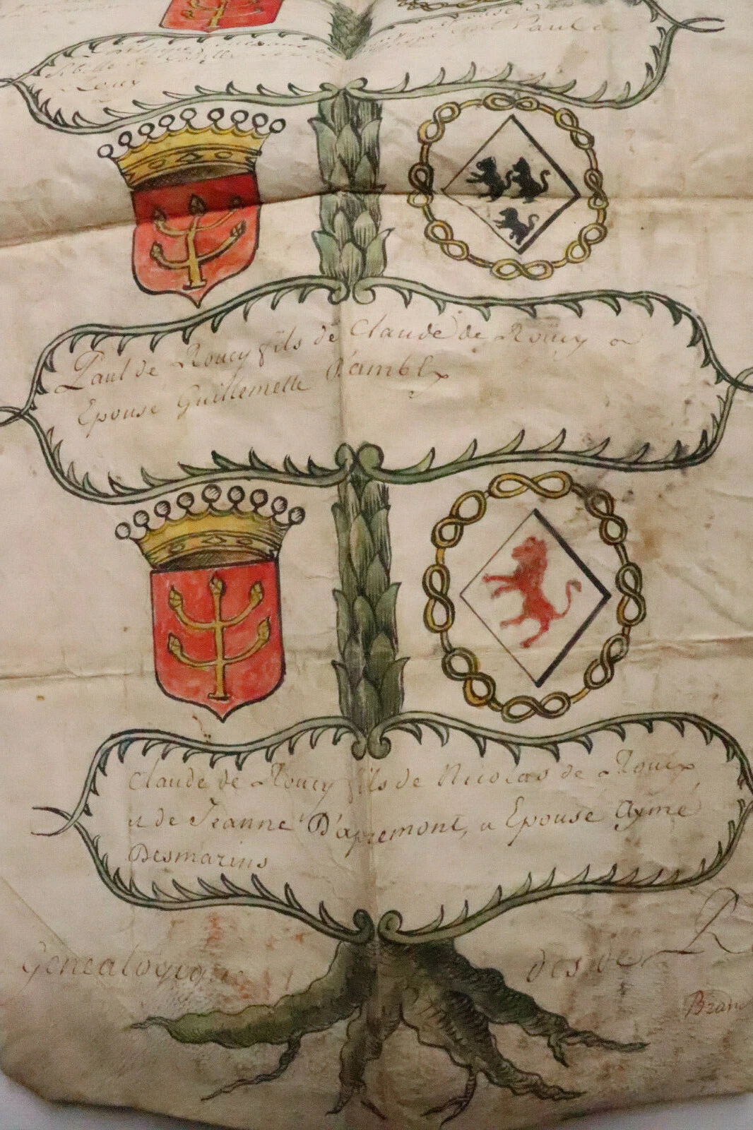 Foto 11 di 12