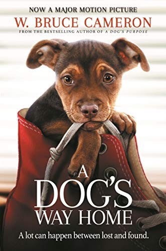 A Dog's Way Home: The Heartwarming Story of the Special Bond Between Man and Dog: 1 - Image 5