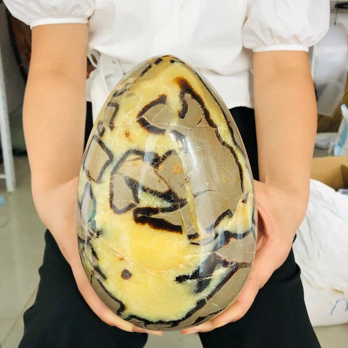 11LB Natural Dragon Septarian Geodetic Survey Quartz Crystal Egg Healing