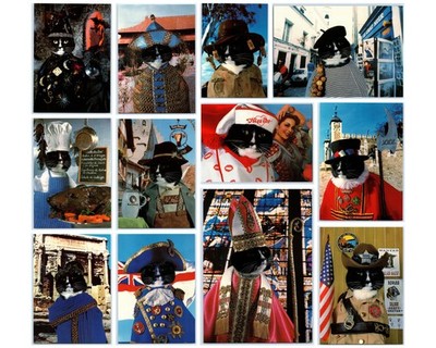 Vintage 1988 CAT EMPIRE Postkarten x 12 von Michael Weigall anthropomorphe Fotos