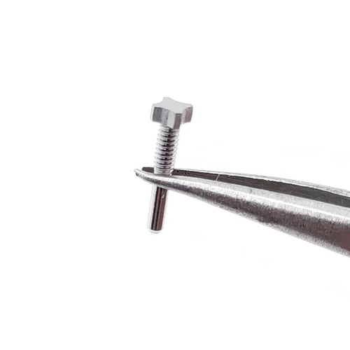 5 PIEZAS Tornillo de acero plateado 4 estrellas L8,62 H2,12 a 2,62 para estuche de reloj Richard Mille - Imagen 3 de 11