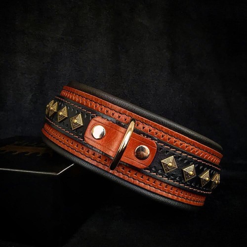 Bestia „Balteus“ Hundehalsband für große Hunde. 6,3 cm breit (2,5 Zoll). - 第 1/5 張圖片