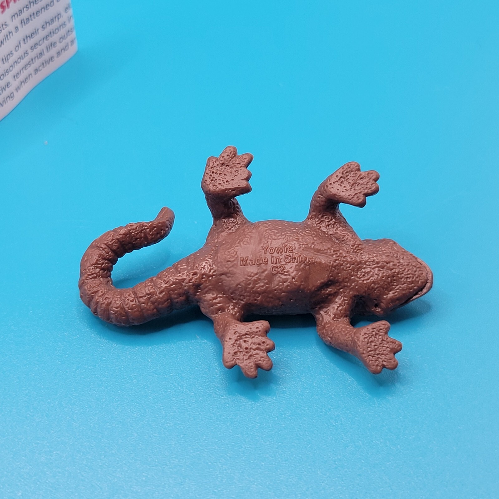 Picture 6 of 6