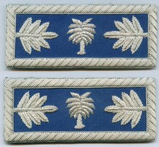 Civil War CSA Army State SC Carolina Straps Boards Palm Uniform Unit ID Officer