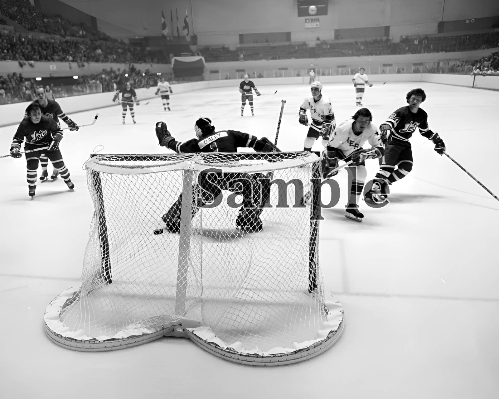 WHA 1973 Winnipeg Jets Goalie Joe Daley Game Action vs Houston 8 X 10 Photo Pic