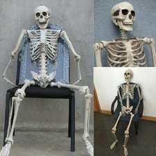 Halloween Poseable Full Life Skeleton Party Prop Decoration Human Anatomy Model