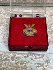 RARE Vintage 10K GOLD US Government 40 Year Service Award with Ruby Lapel Pin