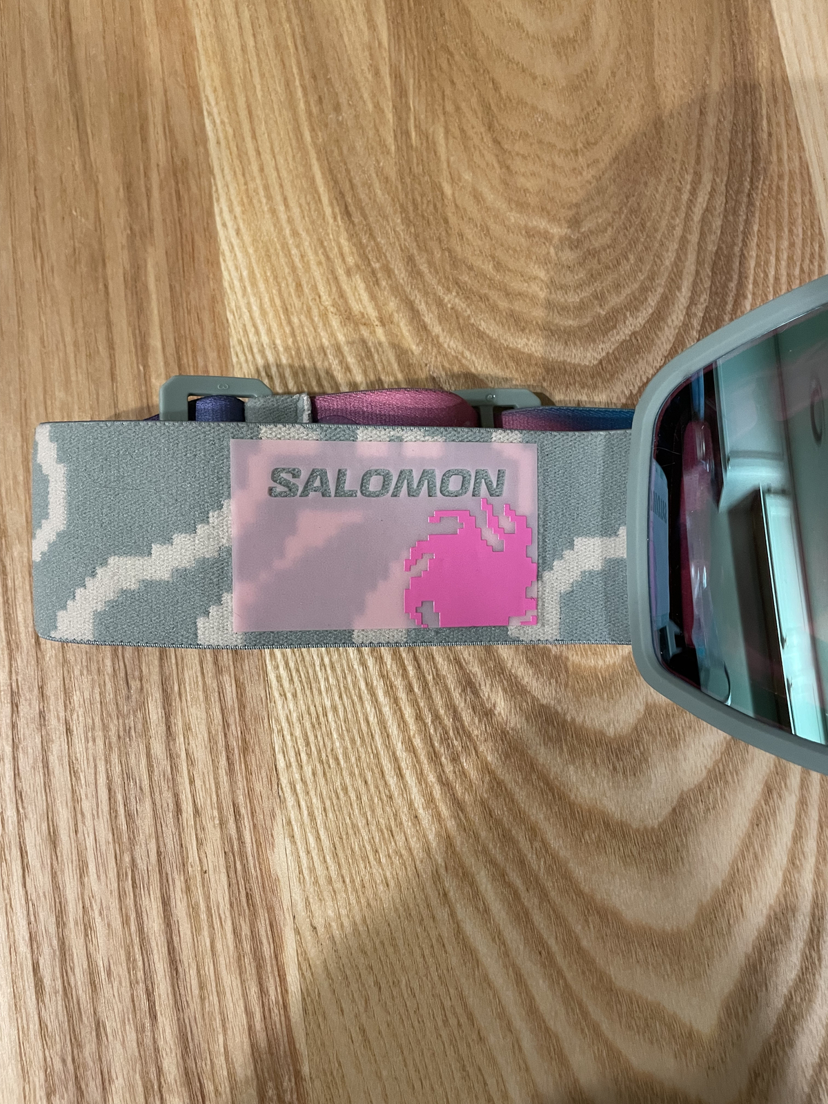 Occhiali da sci e snowboard Salomon Sentry Pro Sigma