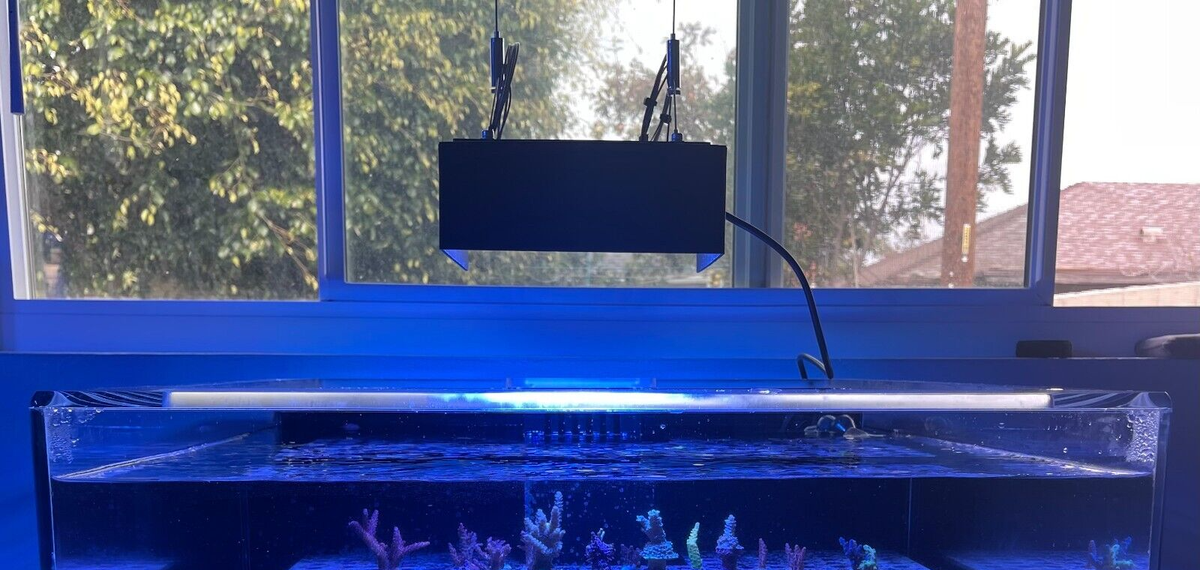 Radion XR15 Blue LEDライト サンゴ 海水 Amazon.com : 3DReefing Radion XR15 LED Reef Light Shade