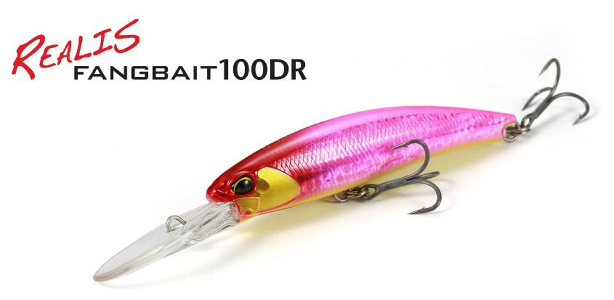 Leurre Duo Realis Fangbait 100DR ACC3519 – Flottant à Billes, Neuf