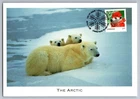 Canada 2015 Christmas Polar Bear FDC Maxi Card w/Pictorial Cancel