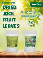 40 Premium Oversize Dried JackFruit Leaves For Aquarium, Organic. Vacuum Pack.