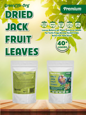40+ Premium Oversize Dried JackFruit Leaves For Aquarium, Organic. Vacuum Pack.