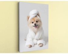 Pomeranian Canvas Art Rolled Canvas Nursery Decor Dog Print Wall Art