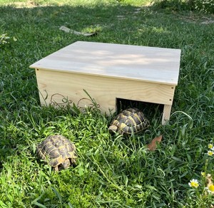 CABANE ABRI POUR TORTUES EN BOIS NATUREL FAIT MAIN 30x40CM