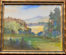 ::OIL PAINTING SIGN.A.JUNG MOUNTAIN AND FIELD LANDSCAPE RENTAL MEADOWS AND TREES