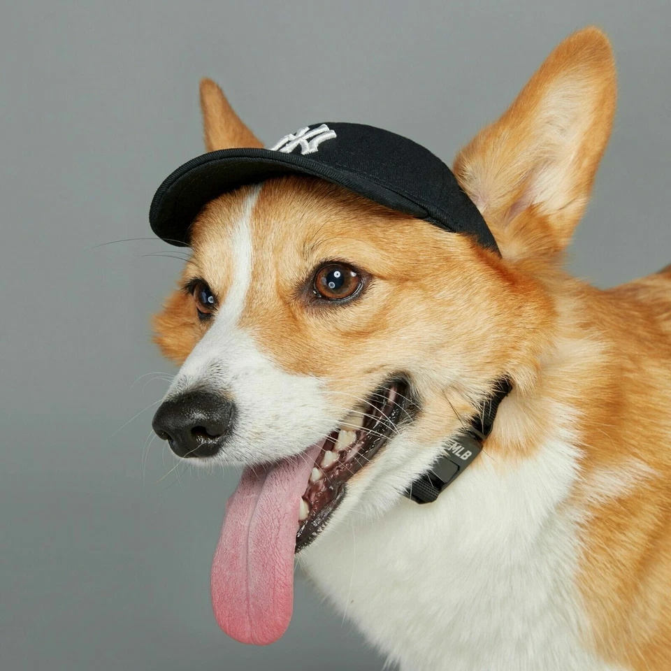 Yankees MLB Pet Dog Hat, NY New York Cap Black for Dogs - Dog Baseball hat, - Image 3 of 4