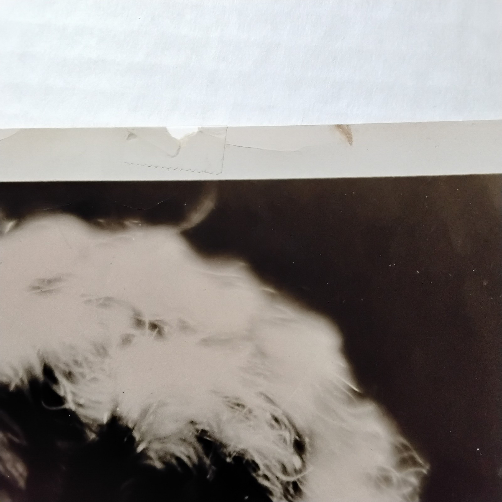 Zasu Pitts Pretty Ladies 1925 Silent Orig Vintage 8x10 MGM Photo