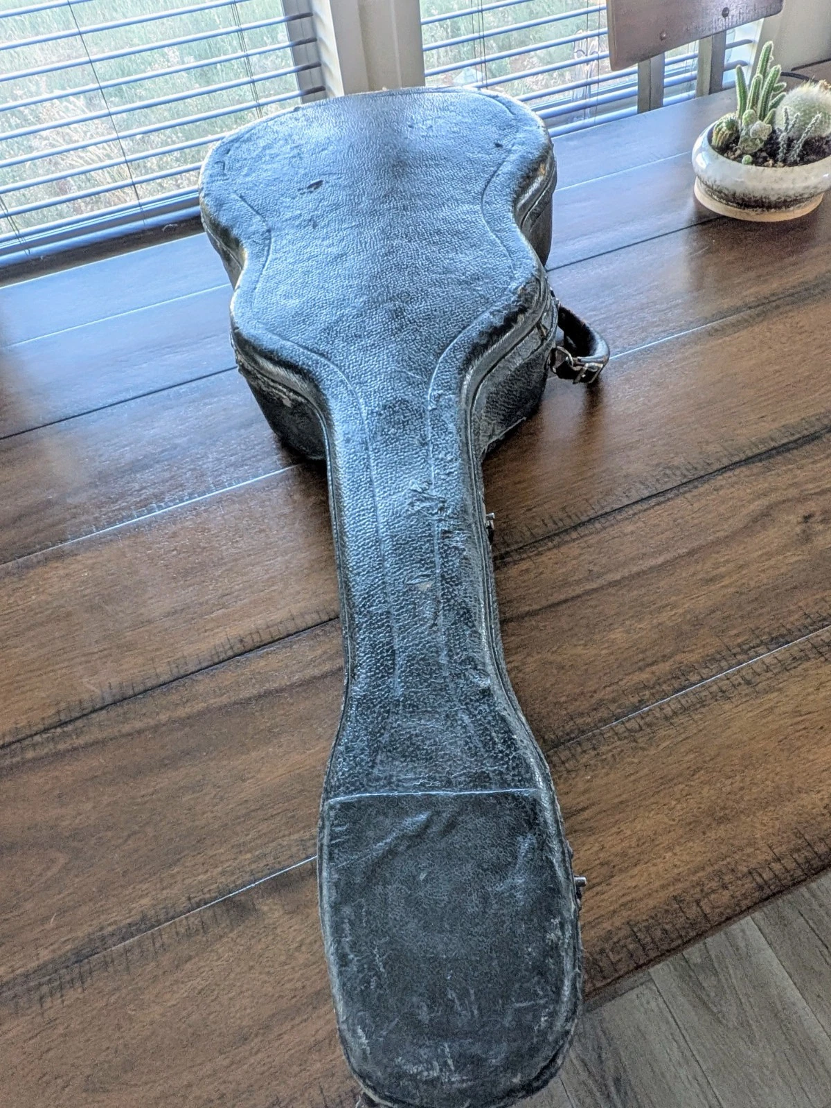 Picture 5 of 20
