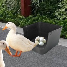 Nido per galline a scomparto singolo, robusto, accessori per habitat,